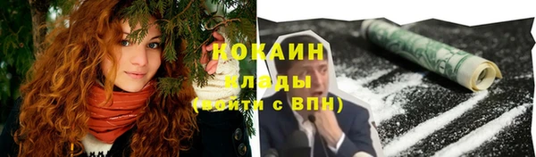 трава Пересвет