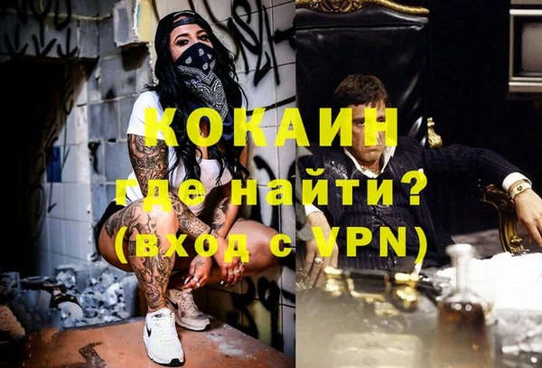 трава Пересвет