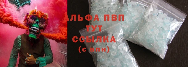 трава Пересвет