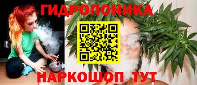 эйфоретик Бузулук