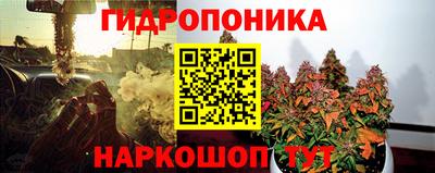 амф Берёзовский