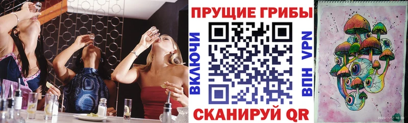 Галлюциногенные грибы GOLDEN TEACHER  Кингисепп 