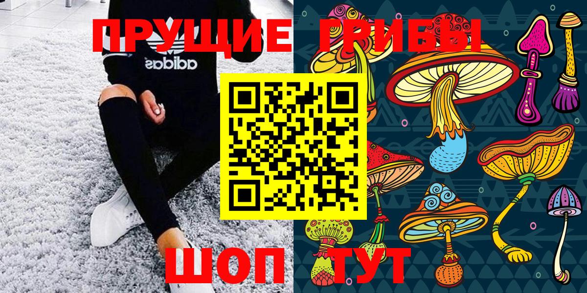 Галлюциногенные грибы GOLDEN TEACHER  Псилоцибиновые грибы мицелий  Кингисепп 