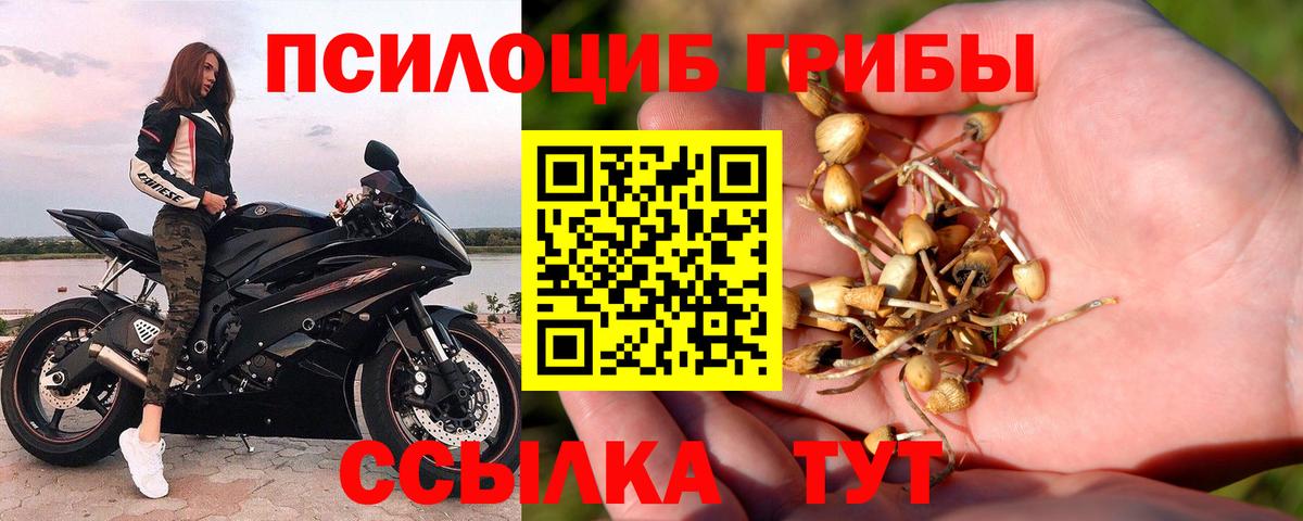 Псилоцибиновые грибы GOLDEN TEACHER Кингисепп