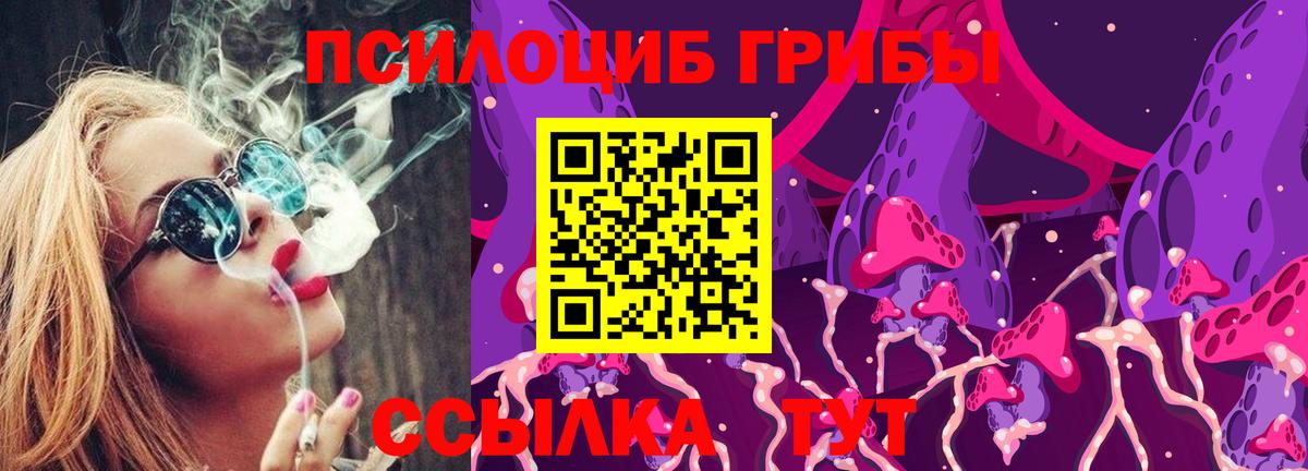 Галлюциногенные грибы ЛСД Кингисепп