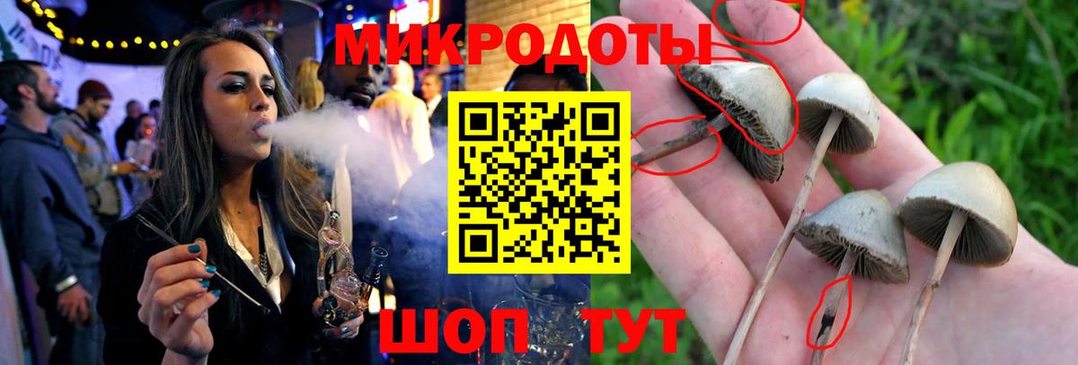 Кингисепп  МЕТ  Кокаин  Codein  Каннабис  Меф   НБОМе  КЕТАМИН  ГАШИШ  APVP СОЛЬ  