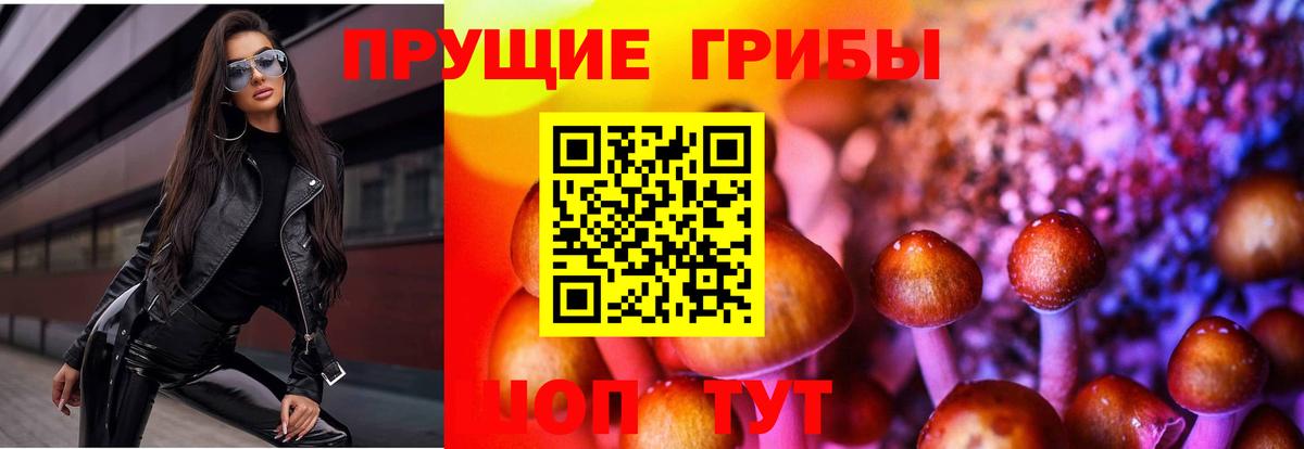 Галлюциногенные грибы мухоморы  Вход с VPN  Кингисепп 