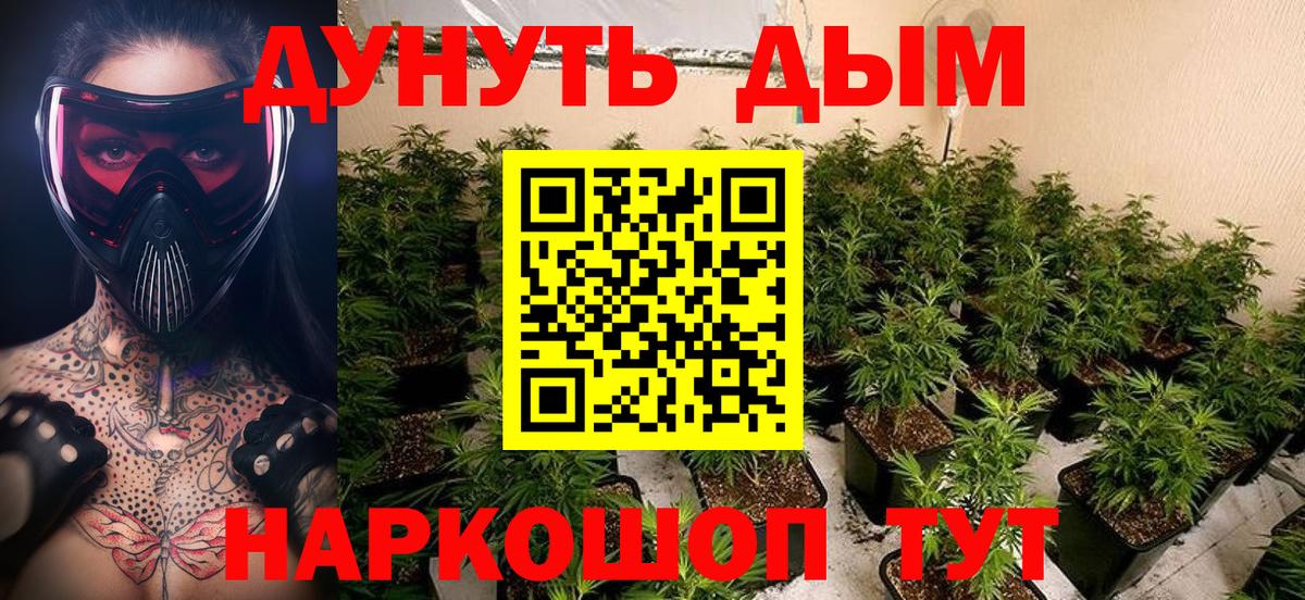 Шишки марихуана ГИДРОПОН  Конопля Bruce Banner  Марихуана OG Kush  Кингисепп  Конопля LSD WEED 